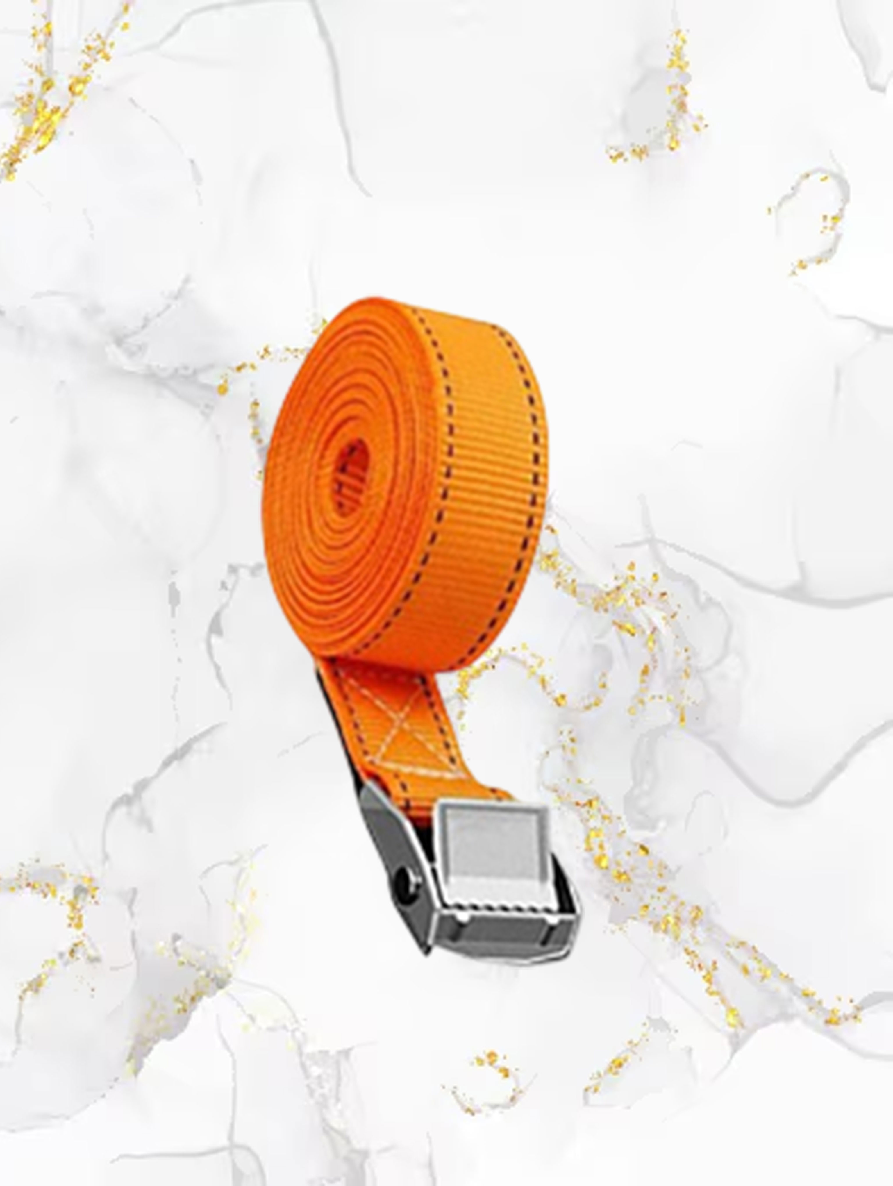 Cam Buckle